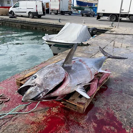 Spinola Bay - Beatiful 3-double Bed Near In Prime Location Saint Julian's